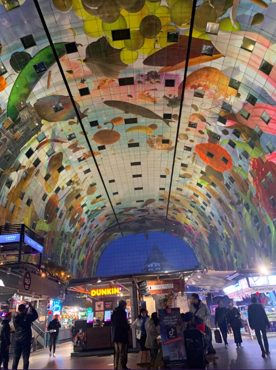 Rotterdam landmarks exploration journey Markthal