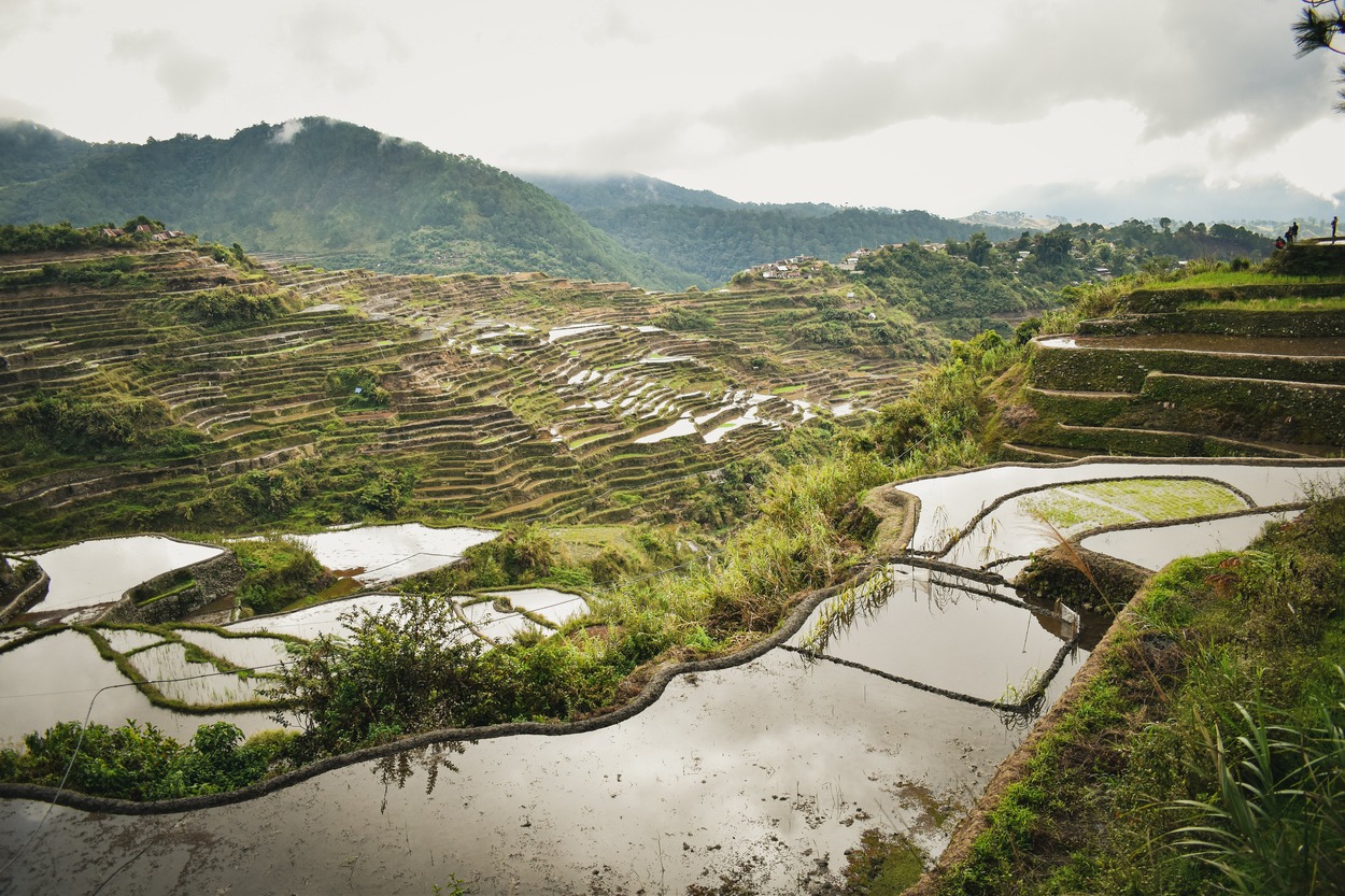 Banaue Rice Terraces Marvel