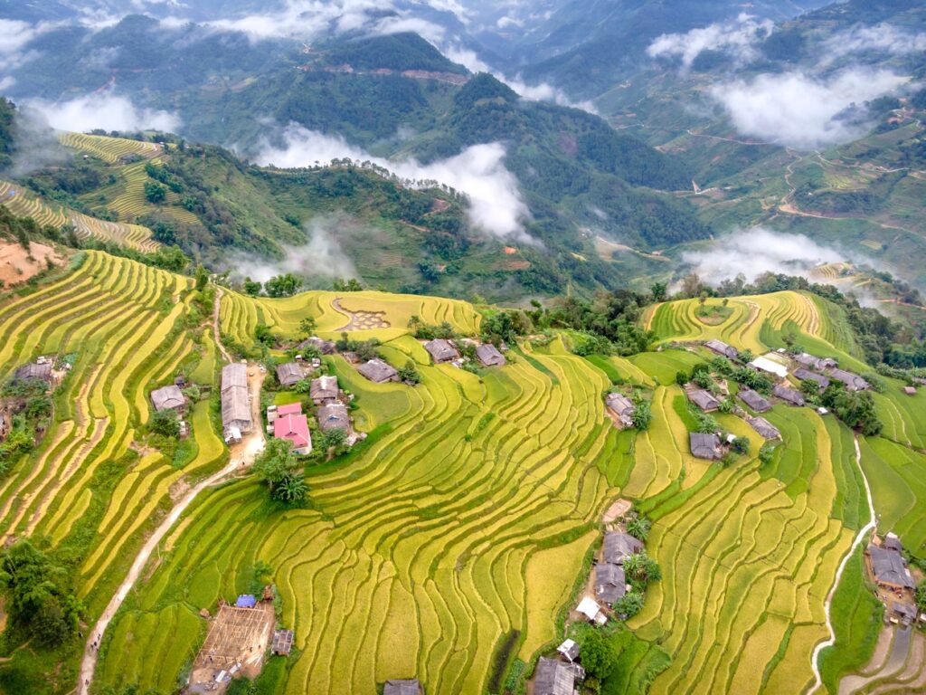 Rice Terraces