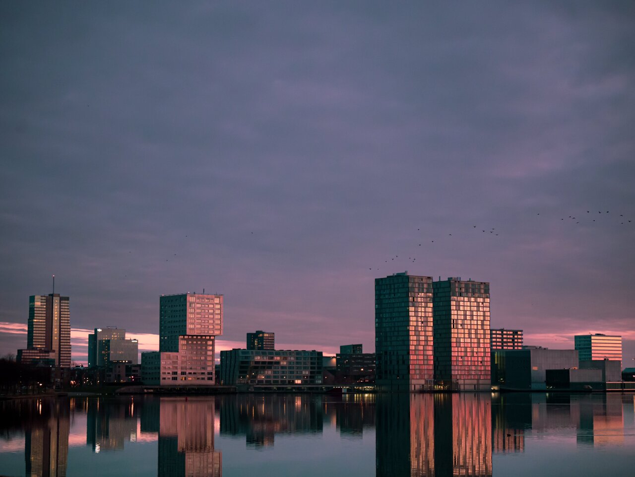 Almere Reclaimed Land Lelystad